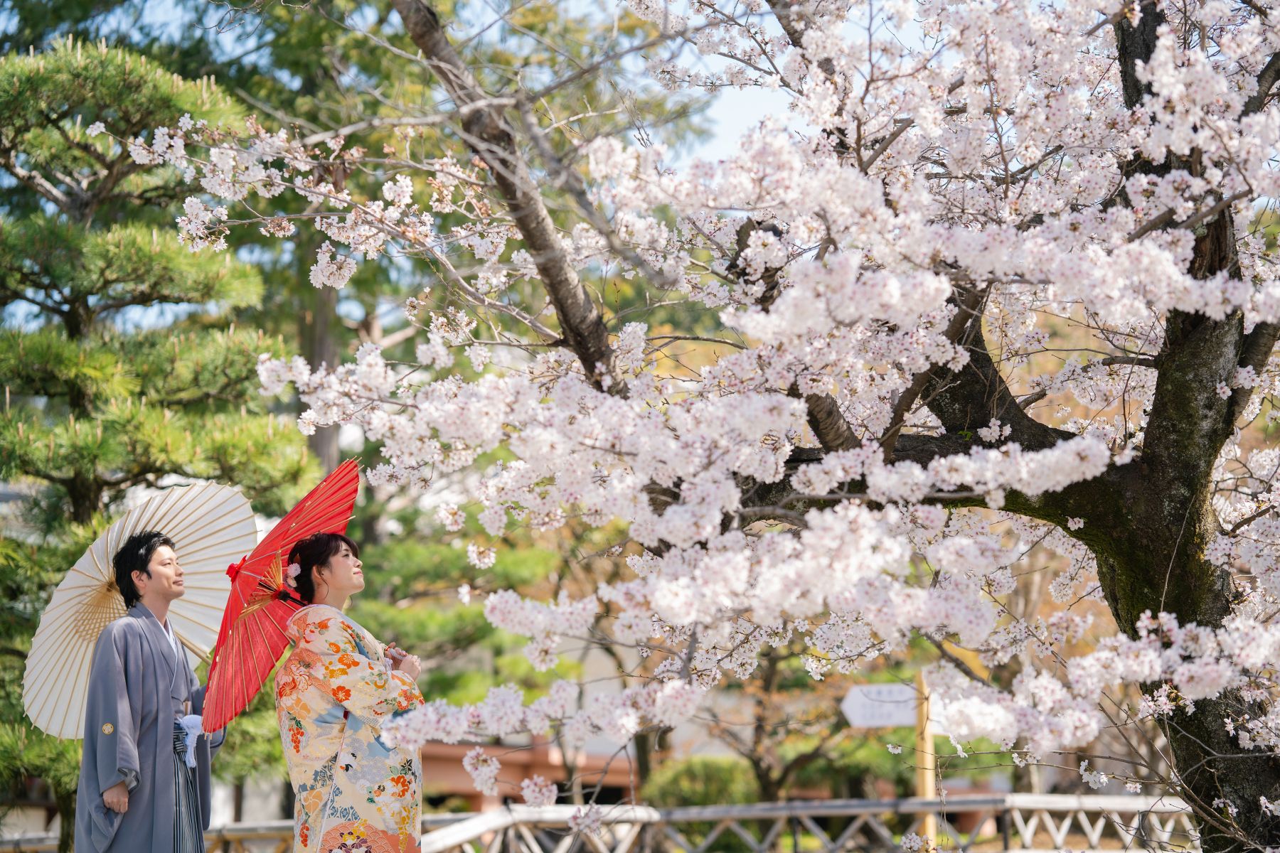 小さな結婚式 京都スタジオ